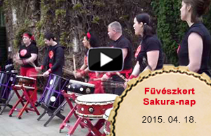 Ízelítő a 2015. április 18-án tartott japándob bemutatóból a Füvészkert Sakura-napján