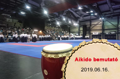 2019-06-16 Aikido bemutató