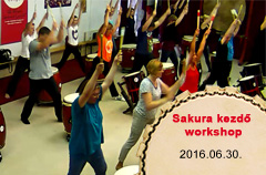 2016-06-30 Kezdő sakura workshop