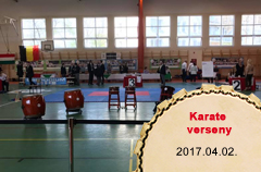 2017-04-02 Karate Verseny