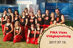 2017-07-19 FINA Vizes VB