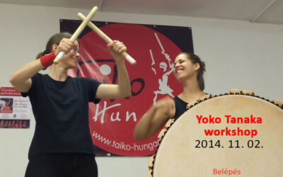 2014-11-02 Yoko Tanaka Workshop