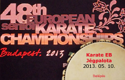 2013-05-10 Karate EB – Jégpalota
